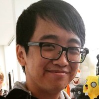 Anh Viet Bui