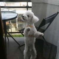 fernando marcovecchio