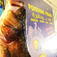 ghassen boubguira