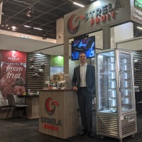 Aleksandar Nedeljković