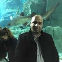 Mehrdad Alipoor