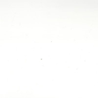 Hadi Rudyanto