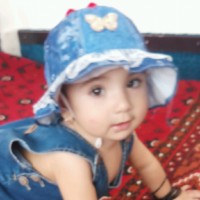 Sameer Waly