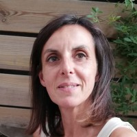 catherine collinet
