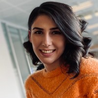 Feyzan Halver , Istqb® Ctfl
