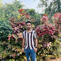Nandan Kumar N P