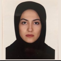 nafiseh hosseini