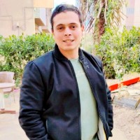 Mohamed Mselhy