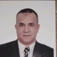 Alaa Ghoneimy