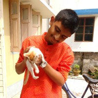 avijan mazumder