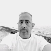 Luis Fernández Roiz