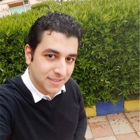 Ayman Ali
