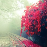 Sreelakshmi Santhosh