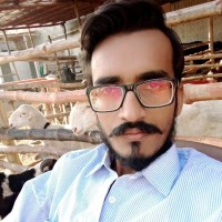 Shaikh Umer