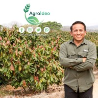 Luis Alberto Figueroa Sánchez
