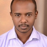 Hisham Hussein