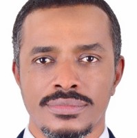 Ahmed A. Elkhatib