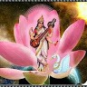 Narender Kumar