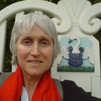Dayle Schechter