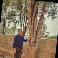 satyanarayana kadiyali