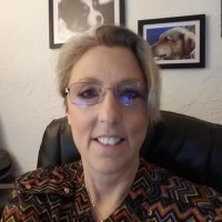 Claire Caudry, PSM I, PSD I