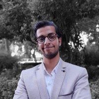 Diaa Eddin Almerstani