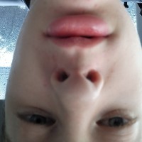 Noah zajac