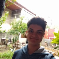 Giorgi Kartvelishvili