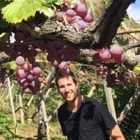 Matt Dixon
