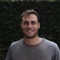 Domenico Robertone