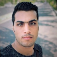 mojtaba valizade