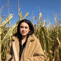 Emily Mossad