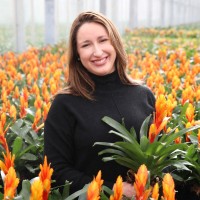 Lauren Brady (Opalenik), Msol