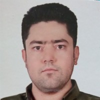 Iman Adibi