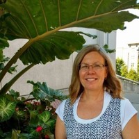 Lori Reinhart-Mercer, RN