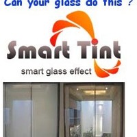 smart tint