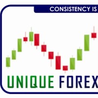 Unique Fx Academy