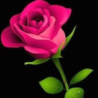 Md. Mojaffar Ali