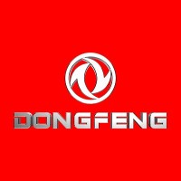 Dongfeng Motor CM