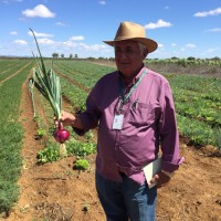 Joao Bosco Borges ma Machado