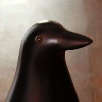 Frederick Van Hoorebeke