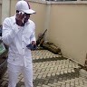 Ekikere Joshua