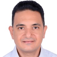 Ahmed Hassan Amer