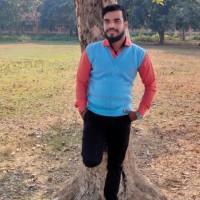 Navin Kumar Ray