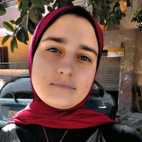 Alaa Nasser