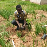 Abubakar Sadiq Aminu