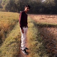 Rohit Rohit
