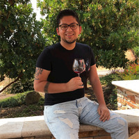 Hector J Lopez