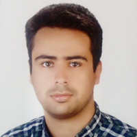 vahid hedayati