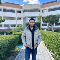 Mohamed Ibrahim Zaiean